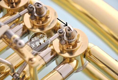 50 pcs New French Horn Euphoni - Musical Instrument Tuba recension och pris
