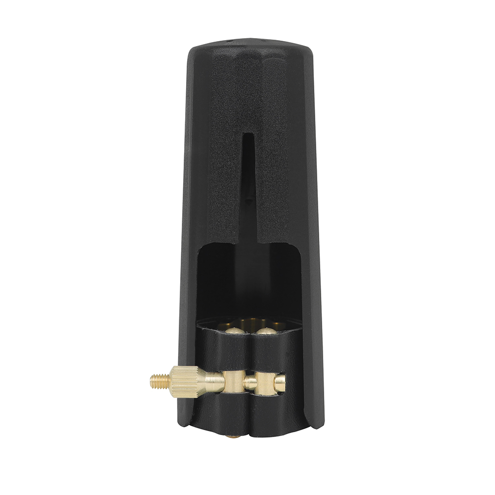 Professional Saxophone Clarine - Musical Instrument Oboe recension och pris